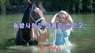 솔밭사이로 강물은 흐르고 - 존바에즈 /  The River In The Pines - Joan Baez