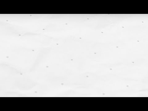 NEW BEACH STAGE UPDATE / The Garden Resort