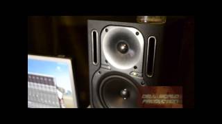 Video thumbnail for BEHRINGER TRUTH B2030A REVIEW by D.W.P