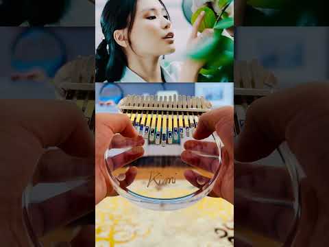 С.Идэрмаа-Нүд (Аригу калимба ковер)Калимбаг авах 99865535 #монголынанхныкалимба   #nudkalimbacover