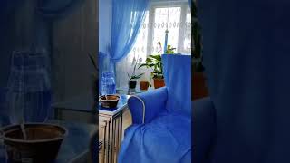 dragged me to the ground#shorts 🥰😜🤡😂🥳