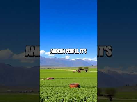 Unveiling the Hidden Powers of Quinoa