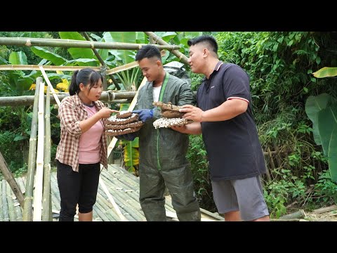 egyedülálló anya - bambuszkunyhó kialakítása, garázs, meglepődve a vad méhkaptár láttán.