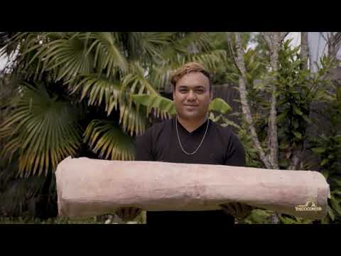 Tongan Patterns