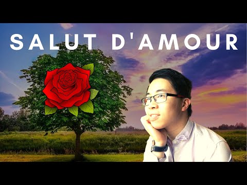 The Most Beautiful Music in the World #1: Salut D'Amour