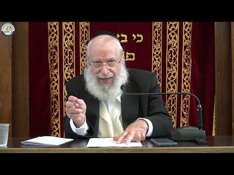 Optimal Time to Light the Chanukah Candles | Weekly Shiur by Rav Asher Weiss Shlit"a (5785)