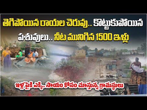 Rupture of Rayala Lake in Chittoor Led to Devastating Flood, Submerging Homes & Cattle Washed Away