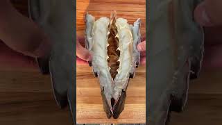 Download lagu Lobster Revenge mp3 Download lagu Lobster Revenge mp3