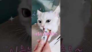 니들이 살찌는 이유는 바로?!