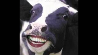 Donny the retarded cow (larry the cable guy slow motion)