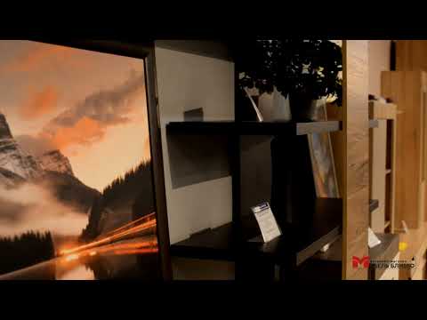 Тумба под ТВ 2Д Альда (черный/ ясень орландо)