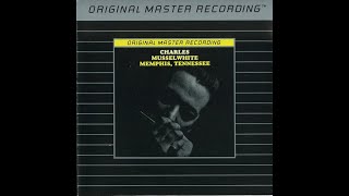 Charlie Musselwhite - Arkansas Boogie