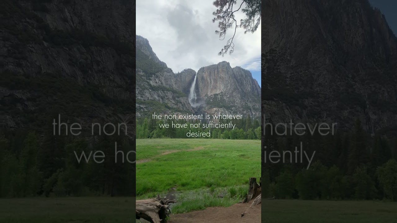 Delusional #quotes #franziskus #manifestation #motivation #success @Ponderedpoet