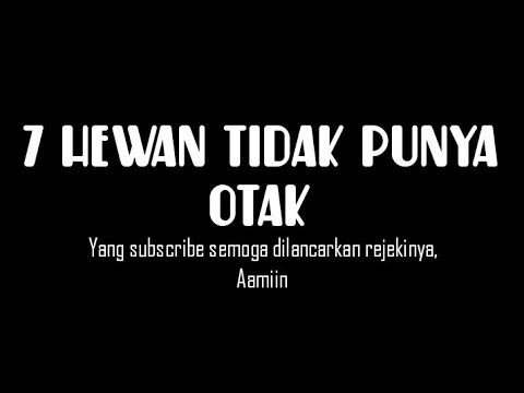 Top 7 Hewan tidak punya otak