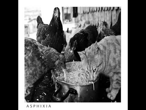 rob paranoid - asphixia front