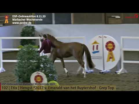 Freispringen KN 102 ETIX, 3-j. Hengst v.Emerald vh Ruytershof- Grey Top  *Marbacher Wochenende 2020*