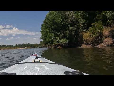 Remada del 17 de enero 2025 , parte 2, #arroyo #pando #canelones #uruguay