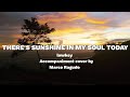 There's sunshine in my soul today | Piano accompaniment with lyrics | lowkey