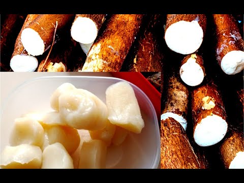 LA MEILLEURE RECETTE DU CHIKWANGUE EN MOINS D'UNE JOURNÉE 👌😍- MANIOC SANS ODEUR #manioc #casava