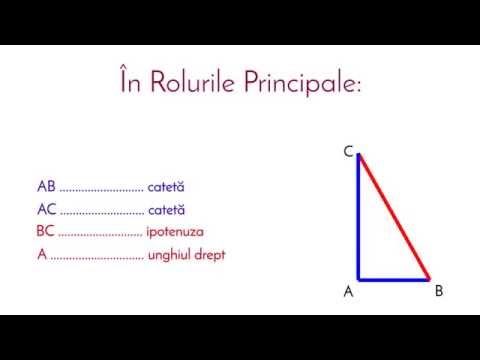 Teorema lui Pitagora