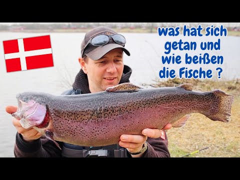 Uge Lystfiskeri Trout Fishing in Denmark 🇩🇰 2025 Soft Baits Libra Lure Blink Salmon Trout Fishing