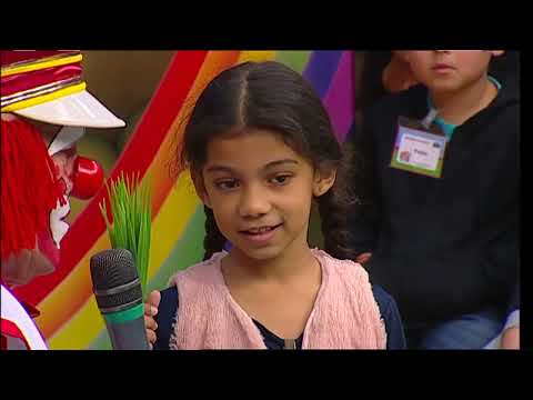 CONFIRA O ZIG-ZAG SHOW DE MAIOR AUDIÊNCIA EM JANEIRO.