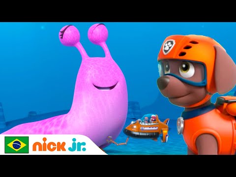 Capa de Patrulha Canina | Os filhotes e a lesma gigante do mar! | Nick Jr. em Português