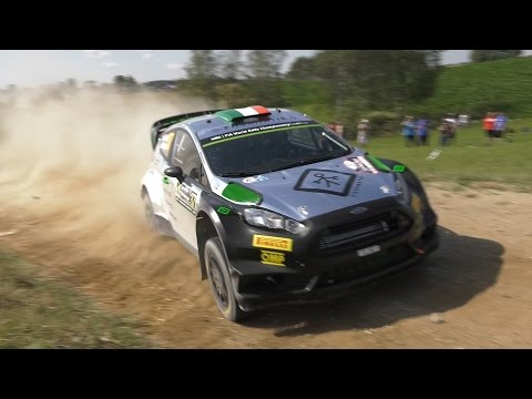 Day 1 - Rally Poland  2016 - L. Bertelli / S. Scattolin - Ford Fiesta WRC