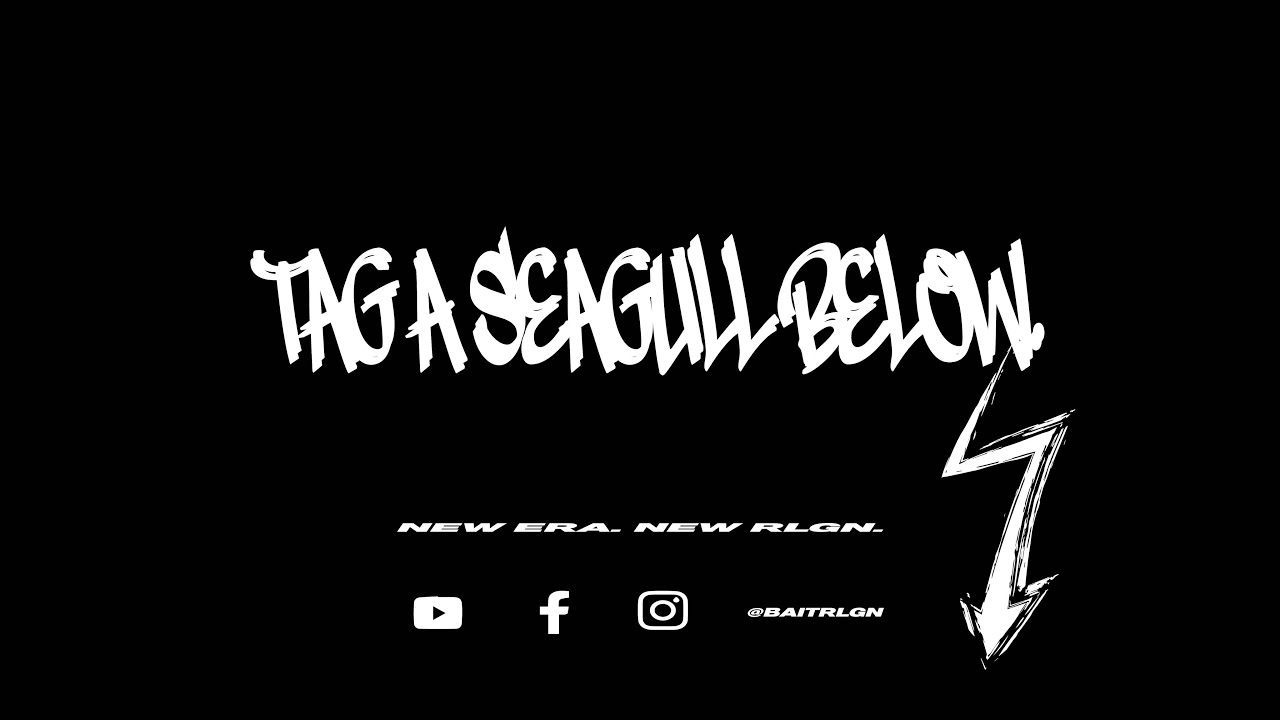 TAG A SEAGULL!