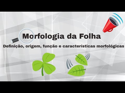 Morfologia da folha