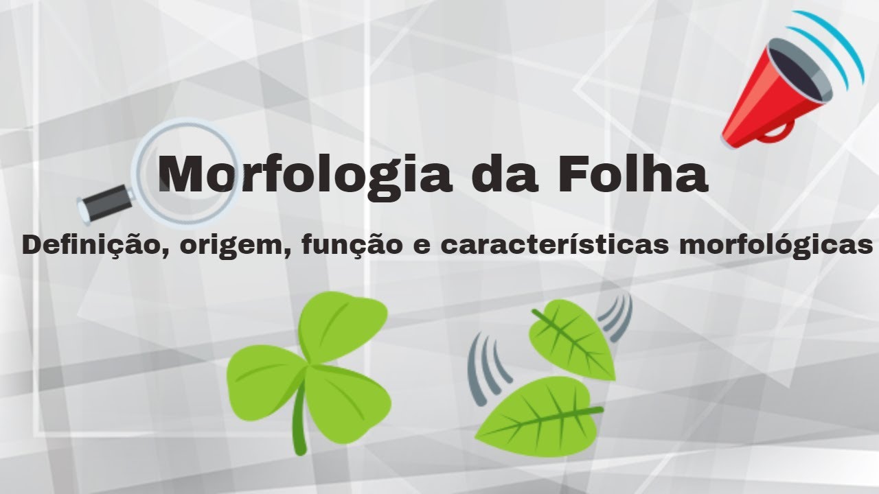 Morfologia da folha