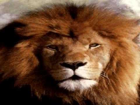 download lagu mp3 mp4 Midnight Drifter, download mp3 Midnight Drifter free download mp3, download mp3 Midnight Drifter