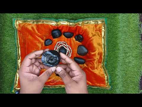 Dashavatar Shaligram Shilas video
