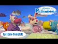 Piyanimales Mi Querida Nieve Episodio Completo