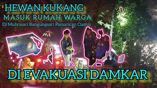 Download lagu Hewan Kukang Masuk Rumah Warga Di Bangunsari Pamarican Ciamis mp3