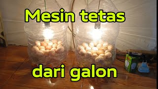 Download lagu Membuat mesin tetas telur sederhana dari galon bekas mp3