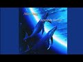 Hilary Stagg – Beyond the Horizon | Celestial Harp Music for Inner Peace, Dreams & Healing