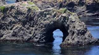 The Natural Beauty of the Mendocino Headlands