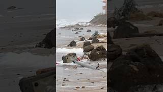 أمواج مدمرة بالحوزية بأزمور.. البحر يجرف الشاطئ ويهدد المنازل thumbnail