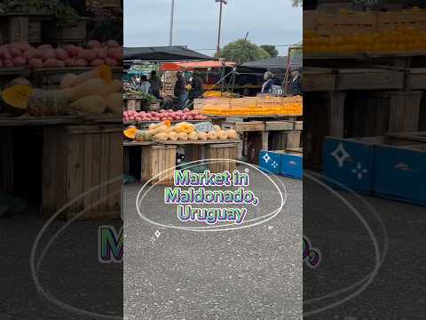 🥑 Maldonado Feria (uruguayan food market) first look #uruguay #lifeinuruguay #maldonado