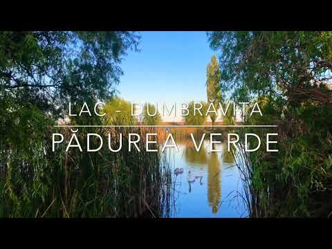 Lac Dumbrăvița, Timiș - Pădurea Verde