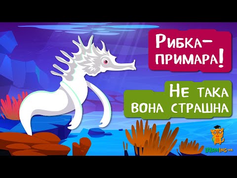 🍀 Дива природи. Явища навколо нас. Прикрашена риба-примара 🌏