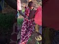 This is how they give birth