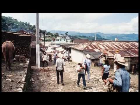 Language, culture and biodiversity in Mexico
