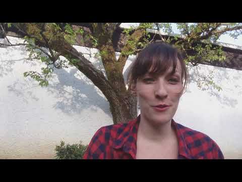 Kaj če je vse prav?