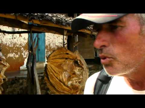 Dried fish Madagascar