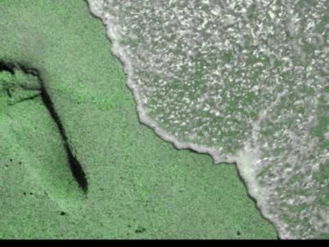 Znów wędrujemy ( wykonanie: Grzegorz Turnau / słowa: K.K.Baczyński) www.englishcenter.pl