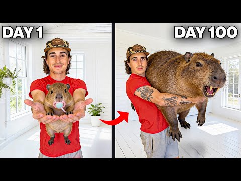 I Raised a Capybara! (100 Day Evolution)