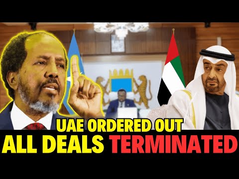 HISTORIC: Somalia Terminates Every Agreement with the UAE. 🇸🇴🇦🇪