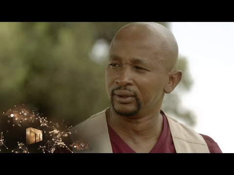 Fezile fined a cow – Isibaya | Mzansi Magic